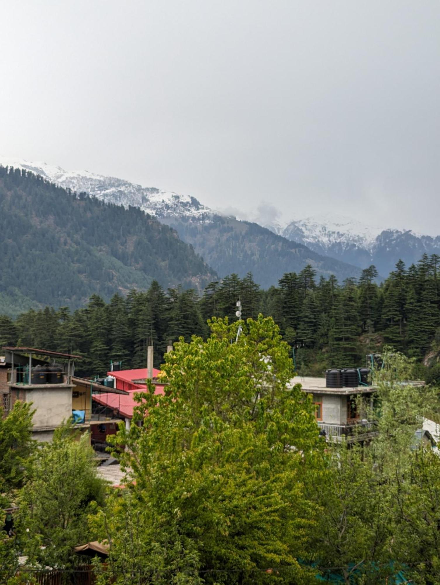 Attic Monkey Cafe & Rooms Manāli Εξωτερικό φωτογραφία